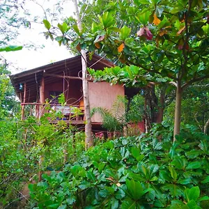  Séjour chez l'habitant Akash Treehouse Sri Lanka